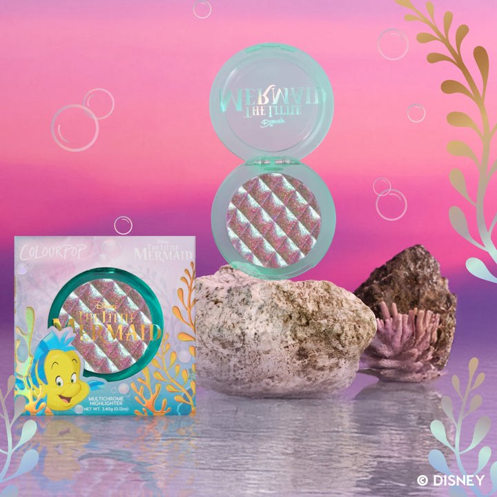 Not A Guppy - Essential Set